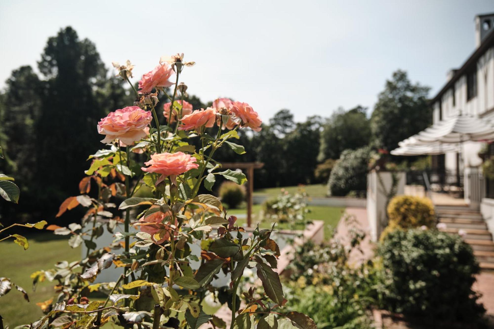 Bed and Breakfast Duncraig Manor Southern Pines Esterno foto